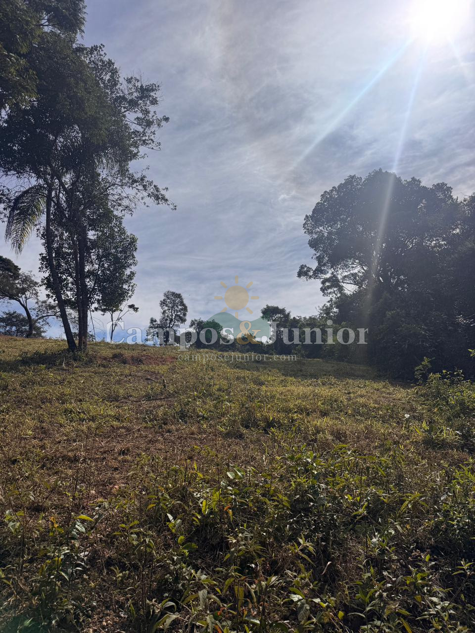 🌿 TERRENO DE 10.000 M² EM ITAGUARA/MG COM ÁGUA, ENERGIA E ESCRITURA – R$ 110 MIL