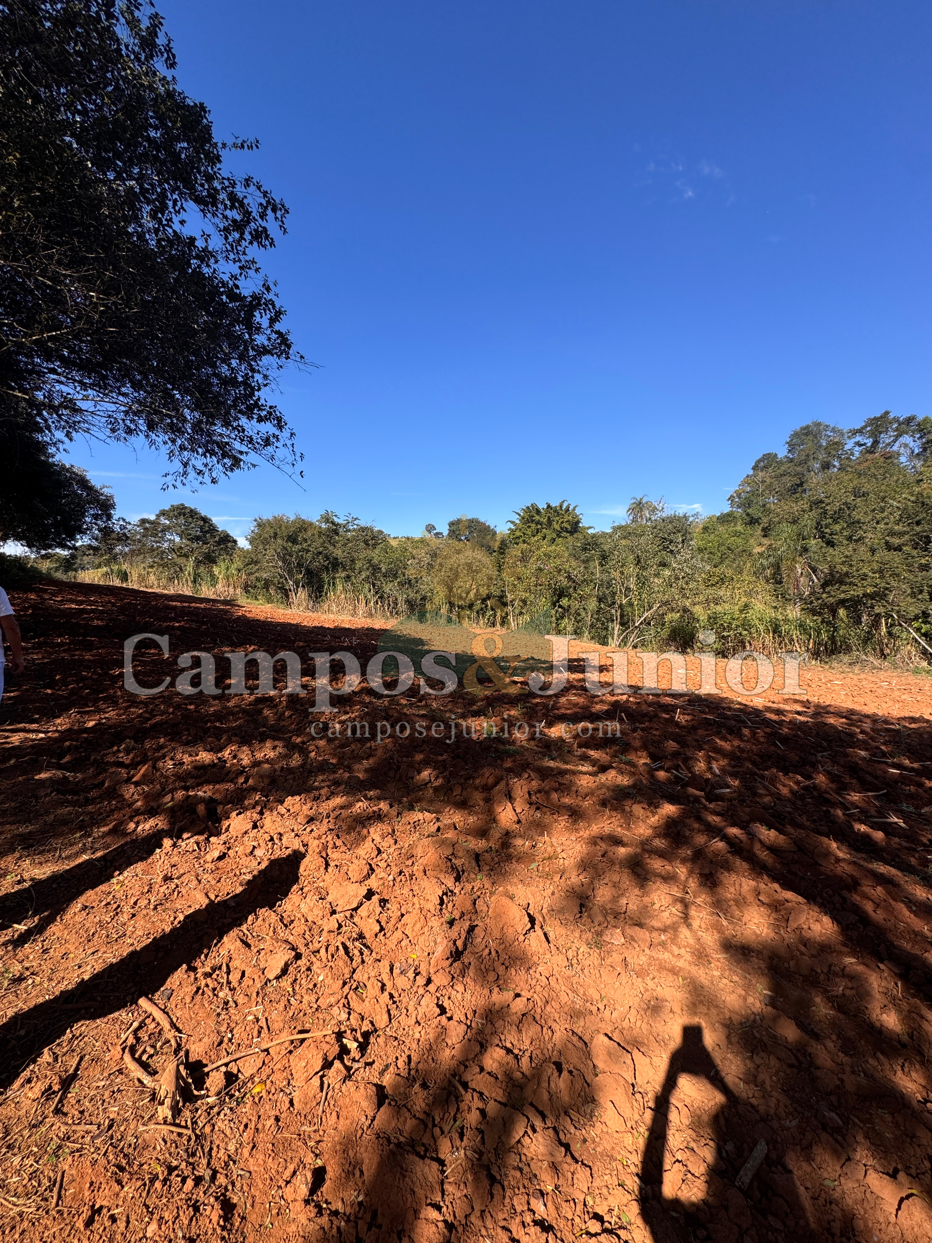 🌿 TERRENO DE 1,4 HECTARES EM CRUCILÂNDIA/MG – RIQUÍSSIMO EM ÁGUA, COM ESCRITURA E REGISTRO – R$ 200.000,00